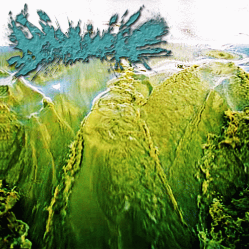 Hydrocele : EP II (2012)